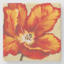 Recherche de fleur naturelle dessous de verres Tropical