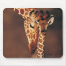 Recherche de adulte tapis souris Animal