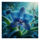 Recherche de orchidée bleue posters Pour tous