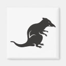 Recherche de ratties magnets Souris