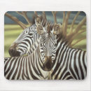 Recherche de rayures zèbre tapis souris Faune