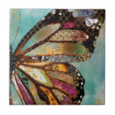 Recherche de cieux Papillon