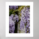 Recherche de bactérie posters Nature