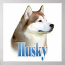 Recherche de husky posters Chien