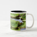Recherche de amazonie tasses Tropical