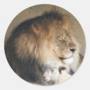 Recherche de agneau de lion autocollants Noël