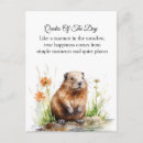 Recherche de marmotte mignonne cartes postales Aquarelle