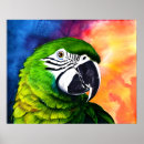 Zoek naar groene vogels posters Kleurrijk