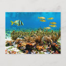 Recherche de barbuda cartes postales Caraïbe