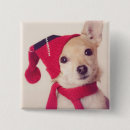Recherche de de noël de chiwawa Petit