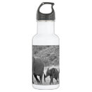 Recherche de sud africain Éléphant