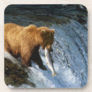 Recherche de habitat dessous de verres Nature