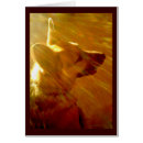 Recherche de poème sympathie vœux cartes Désolé pour votre perte