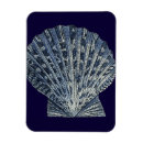 Recherche de coquille de mer magnets Coquillages