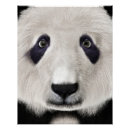 Recherche de roux posters Noir