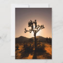 Zoek naar tree kaarten Landschap