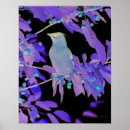 Zoek naar waxwings posters Vogel