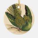 Zoek naar parrot ornamenten Vakantie