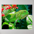 Zoek naar leguaan posters Kunst