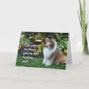 Recherche de miniature vœux cartes Animaux domestiques