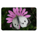 Recherche de papillon rose magnets Fleurs