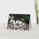 Recherche de loup noir vœux cartes Loups
