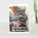 Zoek naar angry kaarten Kat