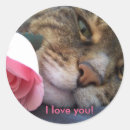 Recherche de minou rose autocollants Animal