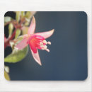Recherche de fleuristes tapis souris Nature