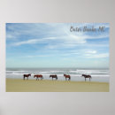 Zoek naar paarden strand posters Corolla