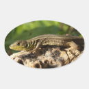 Recherche de lézard autocollants Sauvage