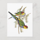 Recherche de oiseaux vintages cartes postales Perroquet