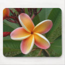 Recherche de plumeria tapis souris Fleur