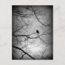 Recherche de le corbeau cartes postales Corneille