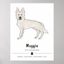 Zoek naar witte herder posters Schattig