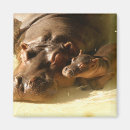 Recherche de hippopotame magnets Nature