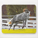 Recherche de galoper cheval tapis souris Animal