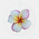 Recherche de plumeria ornements Frangipani