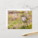 Recherche de oiseau chanteur cartes postales Oiseaux chanteurs