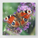 Zoek naar peacock klokken Muur
