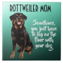 Recherche de rottweiler carreaux Animal