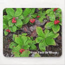 Recherche de framboise tapis souris Baie