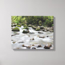 Recherche de courant impressions sur toile Forêt