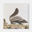 Recherche de odeurs magnets Animal