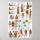 Recherche de meridiane posters Meridians