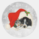Recherche de chat père noël autocollants Dog