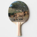 Recherche de lions raquettes ping pong Nature