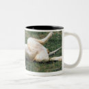 Recherche de lions tasses Aventure