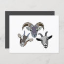 Recherche de chèvre mignonne cartes postales Pour elle