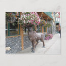 Recherche de humour moutons cartes postales Drôle